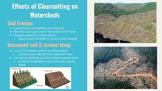 4 6 Watersheds