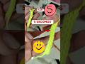🔥 5-Second Cord Magic! #angelicacreat #5second #magic #crochettutorial #crochet #cord #5secondcraft