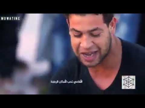 سلطان السم الكوبرا ترويض الافاعي بساحة جامع الفنا مراكش 