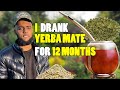I drank yerba mate for 1 year straight  yerba mate 1 year review