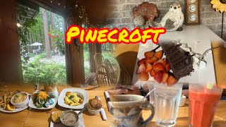 Pinecroft Diner, Aylmer, ON,Canada 🇨🇦#pinecroft #ontario  #canada #food #dinner #diner 