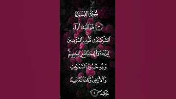 سورة الفتح هو الذي أنزل السكينة في قلوب المؤمنين ليزدادوا إيمانا الآية ٤