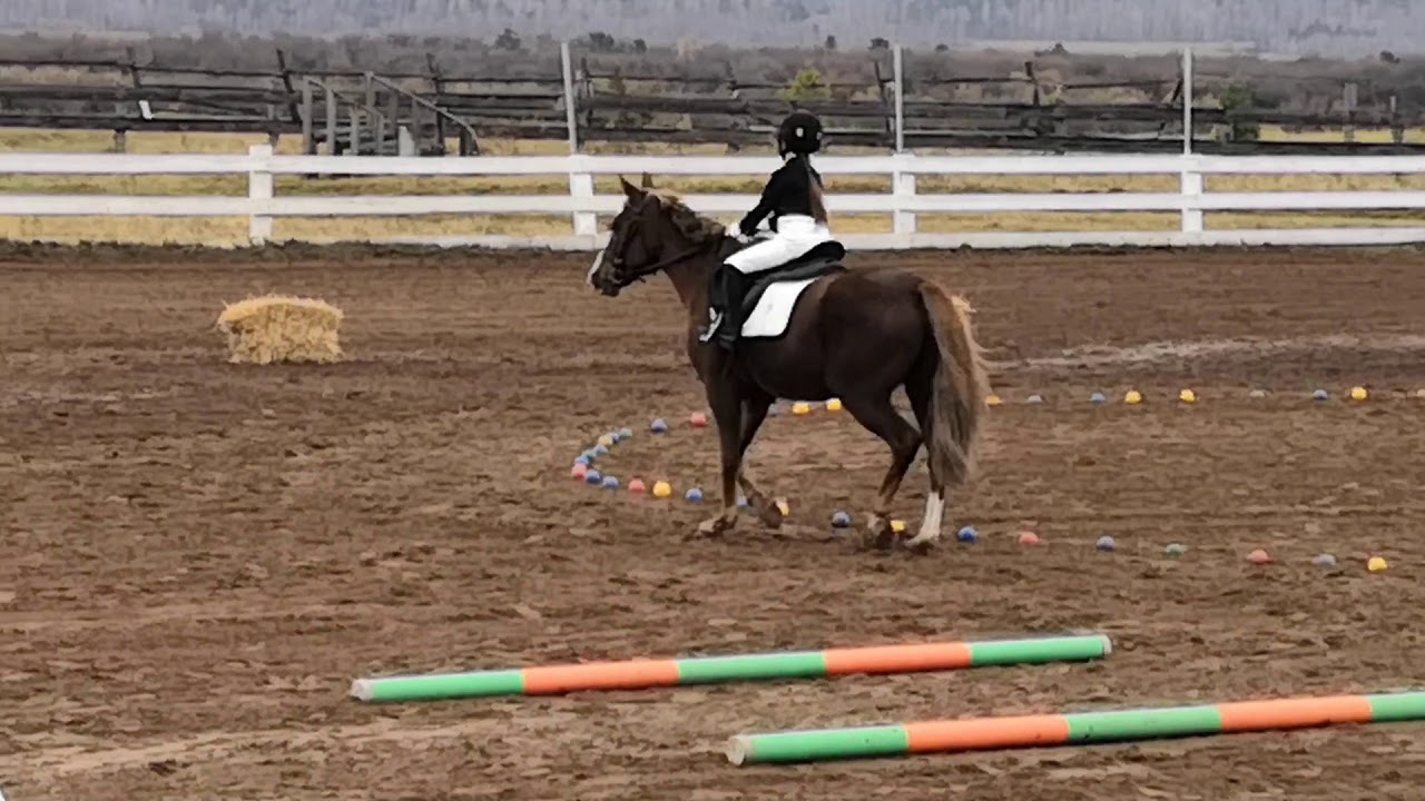 Рабочая тропа конный спорт схема