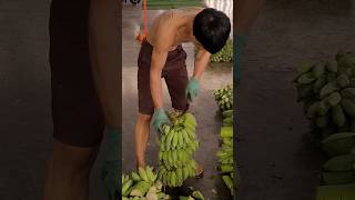 Download Lagu Fastest banana cutting skill!!! MP3