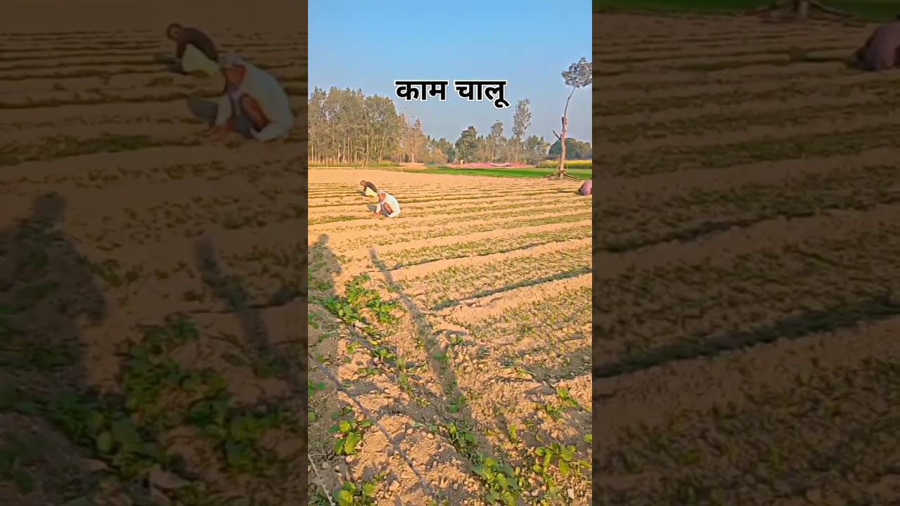 काम चालू 