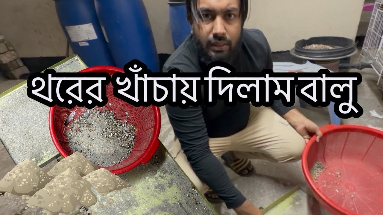 কবুতরের থরের খাঁচায় দিলাম বালু।