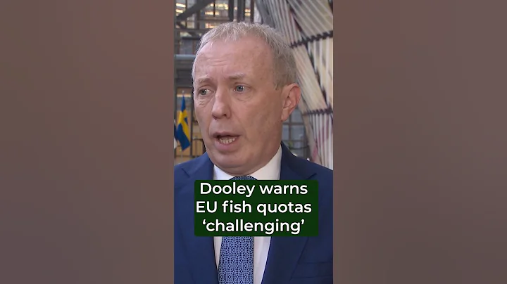EU fish talks 'challenging' - Dooley