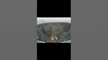 Meteor 75 pro #drone #рек #fpv #fpvdrone #followme #a1r_adventures