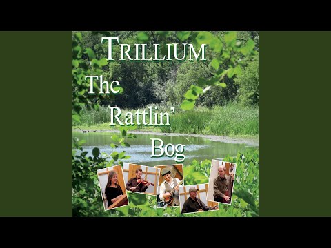 Settin The Woods On Fire