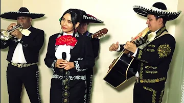 Paloma Cucurrucucu | Mexican Mariachi | Los Mariachi Bros
