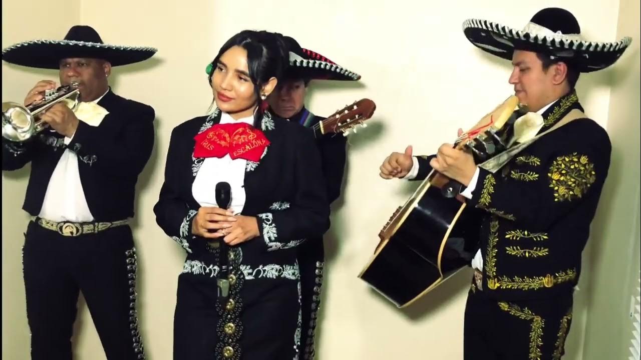 Paloma Cucurrucucu | Mexican Mariachi | Mariachi Encanto UK Paloma Cucurrucucu | Mexican Mariachi | Mariachi Encanto UK