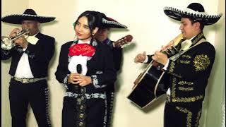 Paloma Cucurrucucu | Mexican Mariachi | Mariachi Encanto UK