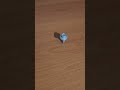 How long can you spin a Tek screw for? #sheds #shortsvideo