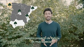 ONE OAK | PROYECTO GALICIA