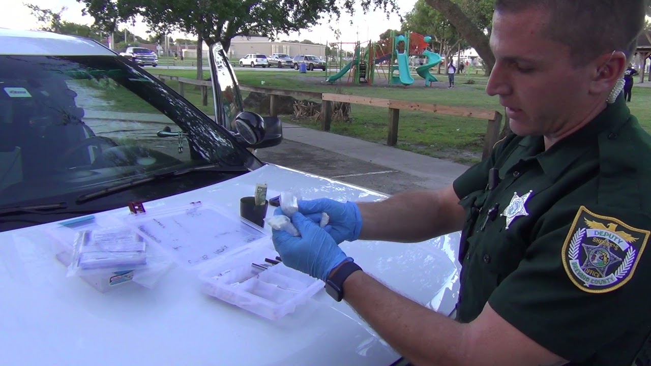 Riding Shotgun With Brevard County Sheriff's Office YouTube