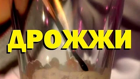 Галилео. Дрожжи 🍞 Yeast