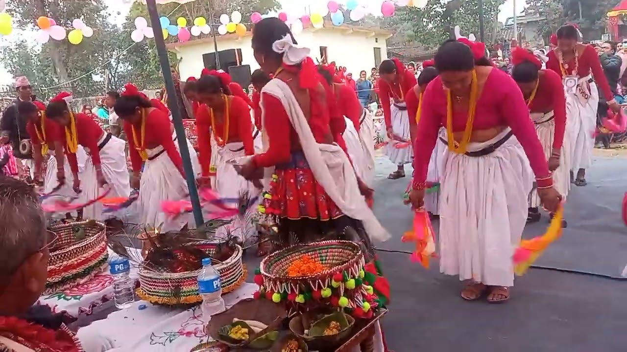 Tharu sakhiya nach