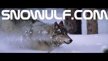 Overview of MeteorJS development using Atom.io