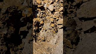 Finding 500 Million Year Old Herkimer Diamonds From New York