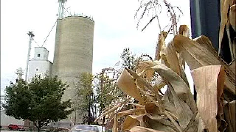 Louisiana Farm Bureau: Star of the West Milling Co...