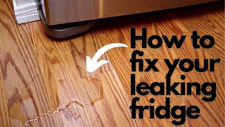 How to Fix a Leaking Refrigerator/Freezer | Samsung