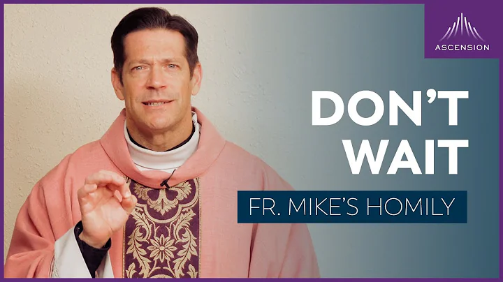 "Main Character: Don't Wait" | The Third Sunday of Advent (Fr. Mike's Homily) #sundaymass