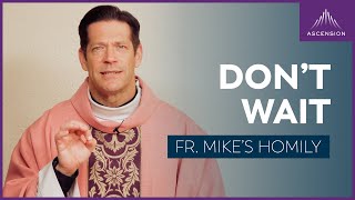 "Main Character: Don't Wait" | The Third Sunday of Advent (Fr. Mike's Homily) #sundaymass