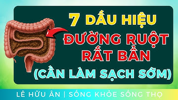 7 Dấu Hiệu Đường Ruột Đang ‘Quá Tải’ & Cần Làm Sạch Sớm!