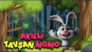 Akilli Tavşan Momoo