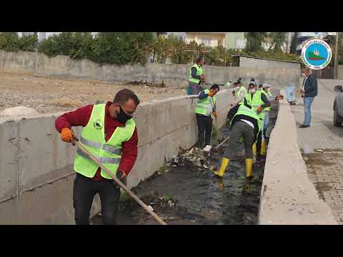 Video: Şehir Merkezinin ıslahı