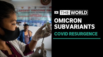 New Omicron subvariants call for new ideas on how to manage coronavirus long-term | The World