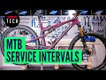 How Often Should You Service Your Mountain Bike? | MTB Maintenance Intervals