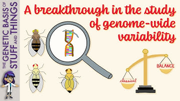 Classical vs Balance model of genetic variability: BALANCE FOR THE WIN