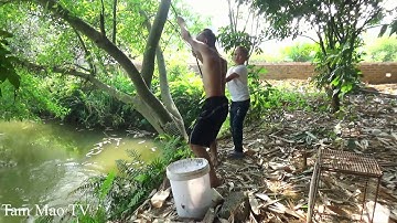 Tam Mao đi câu cá để mang ra chợ bán và cái kết đắng...