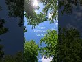Unser neuer Song Kletterbaum ist jetzt überall zu streamen, Link in Bio! 🎧🎶 #akustik #geige #leipzig