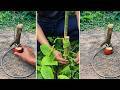 Primitive Survival Trap Using Simple Wire Loop &amp; Bait | Easy DIY Snare Trap with Natural Materials