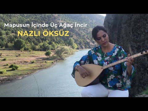 NAZLI ÖKSÜZ - Mapusun İçinde Üç Ağaç İncir (Oy Zulum) | Akustik