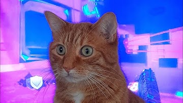 The net is vast and infinite.