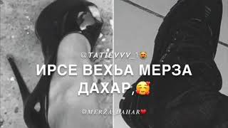 Кхоллам ирс ас хьоьца лоьху❤️