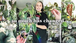 lots to update y'all on 🪴 March Plant Collection Updates