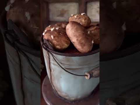 Торт в форме ведра с картошкой #декорторта #торт #кондитер