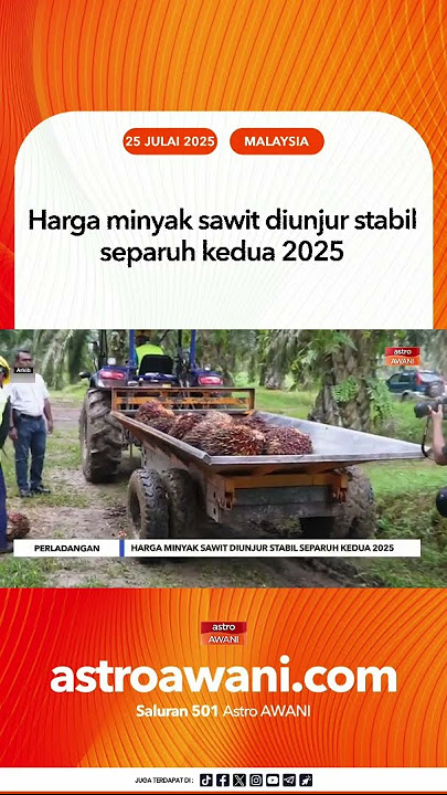 Harga minyak sawit diunjur stabil separuh kedua 2025