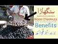 Water Chestnut (Singhara) Benefits For Health In Urdu