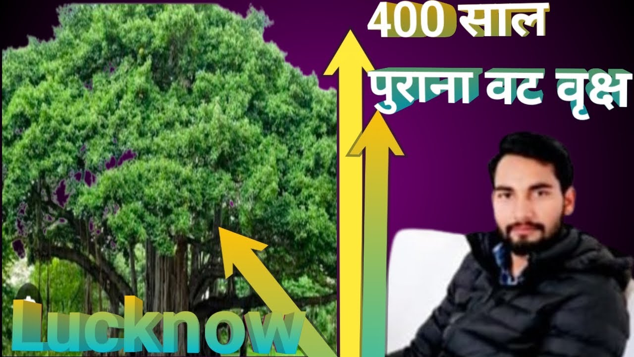 kaisa dikhta Hai 400 sal purana VAT vrikchh aaiae dekhte hain 400 sal