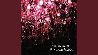 The Moment Is A Wild Place