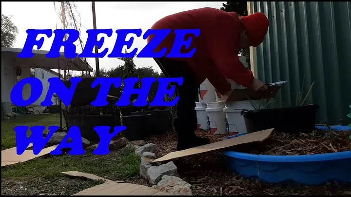 Getting ready for the freeze
