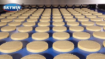 Skywin 2019 new design automatic wire cut cookie production line