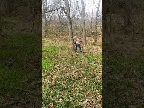 Cutting down the