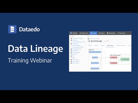 Data Lineage in Dataedo - Training Webinar