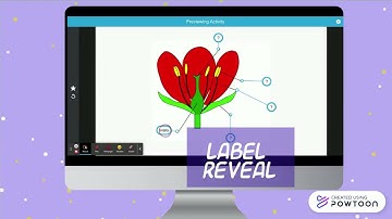 Lumio Game Based Activities